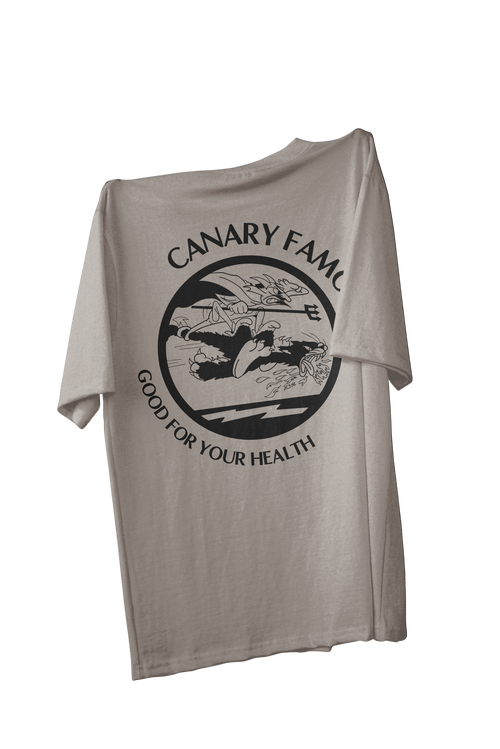 Gray t-shirt with a graphic design and text on a white background